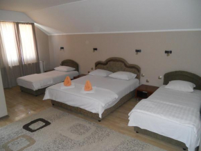  Guest house Vila Bor  Нови-Сад